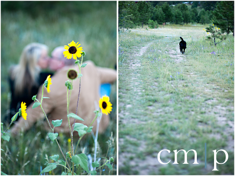dogs, sunflowers, and kisses