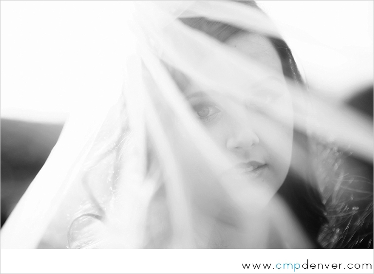 manor house wedding colorado picture