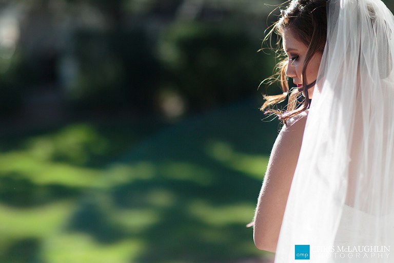 manor house wedding pictures