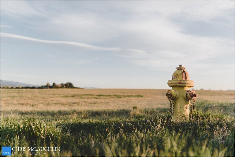 Fire Hydrant Bride