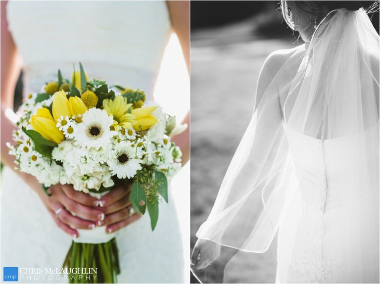 Manor House Ken Caryl Wedding Photo