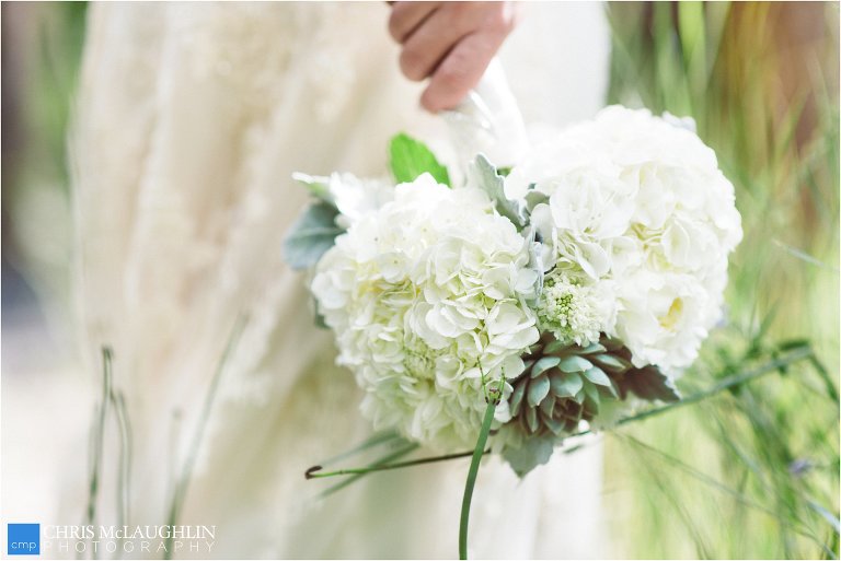 Mt. Princeton Hot Springs Resort Photo