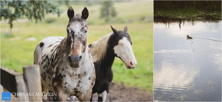 Deer Creek Valley Ranch Photo