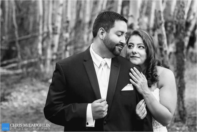 Mt. Princeton Hot Springs Resort Photo