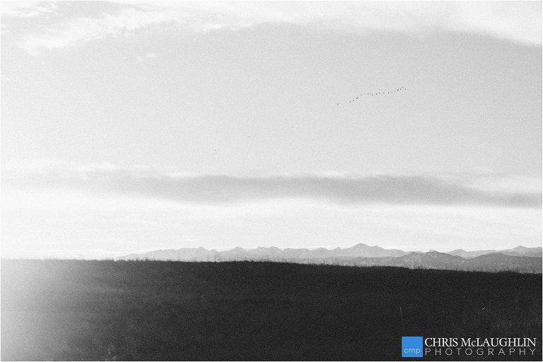 denver wedding photographer