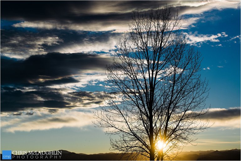 denver wedding photographer