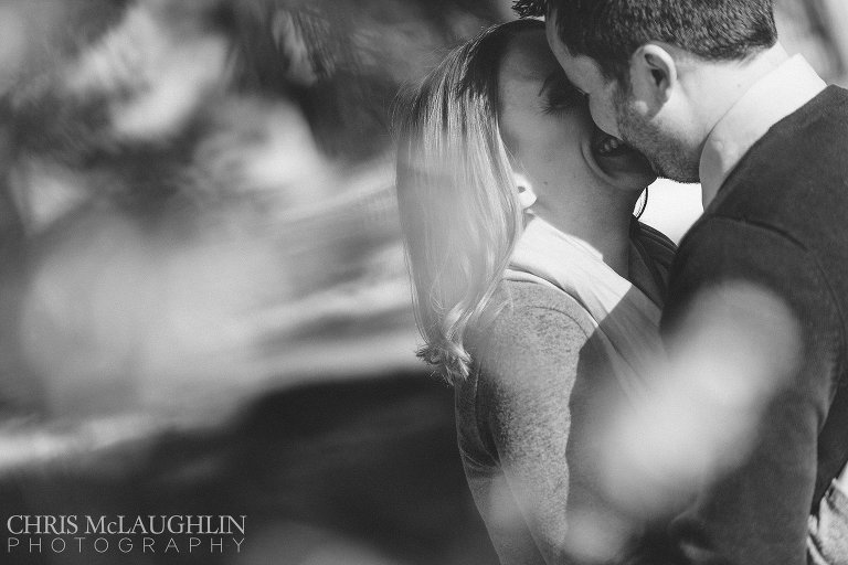 cheeseman park engagement picture