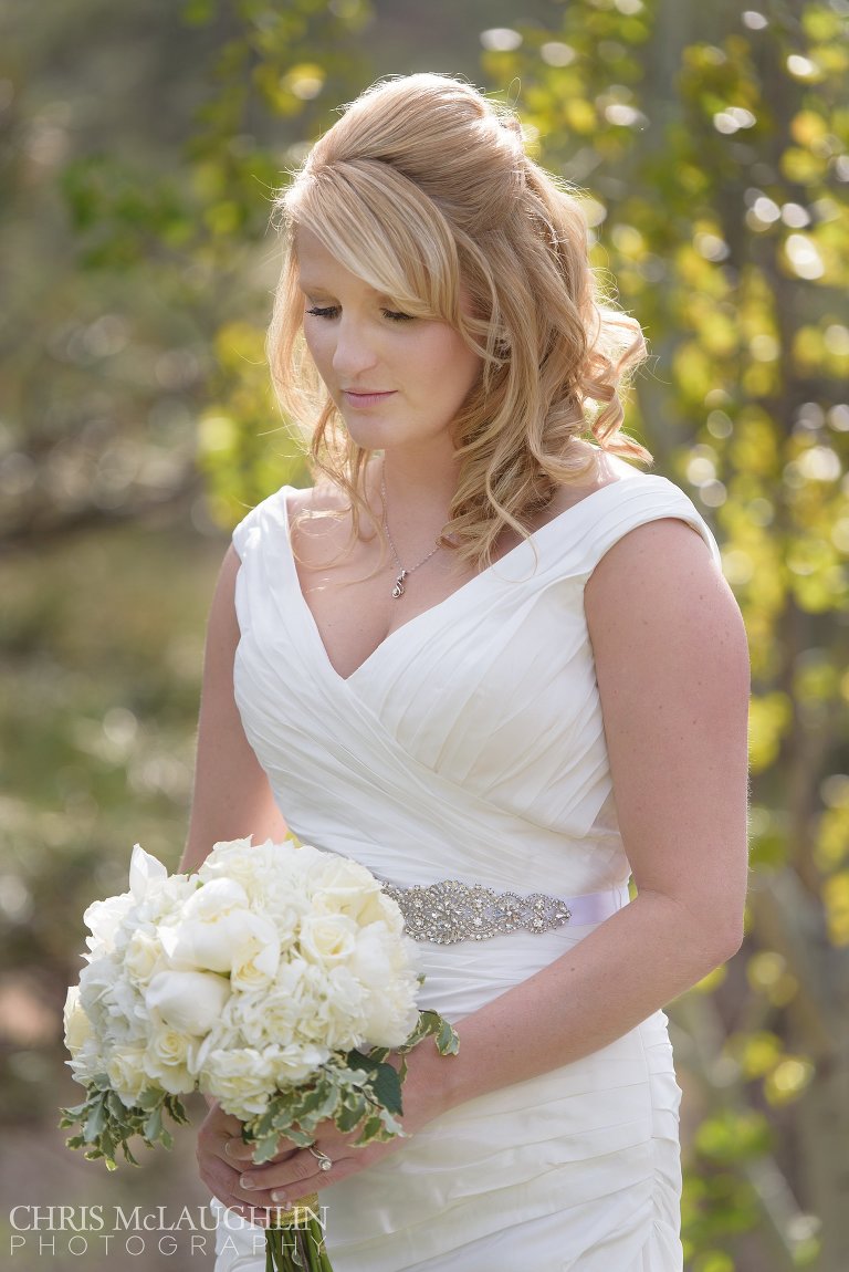 Lionscrest Manor Wedding Picture