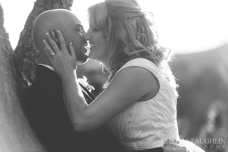 Lionscrest Manor Wedding Picture