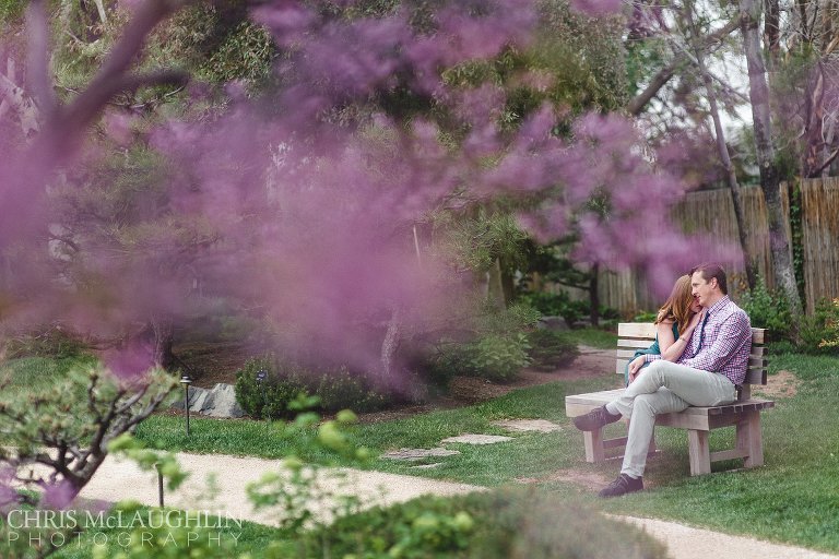 Denver Botanic Gardens Picture