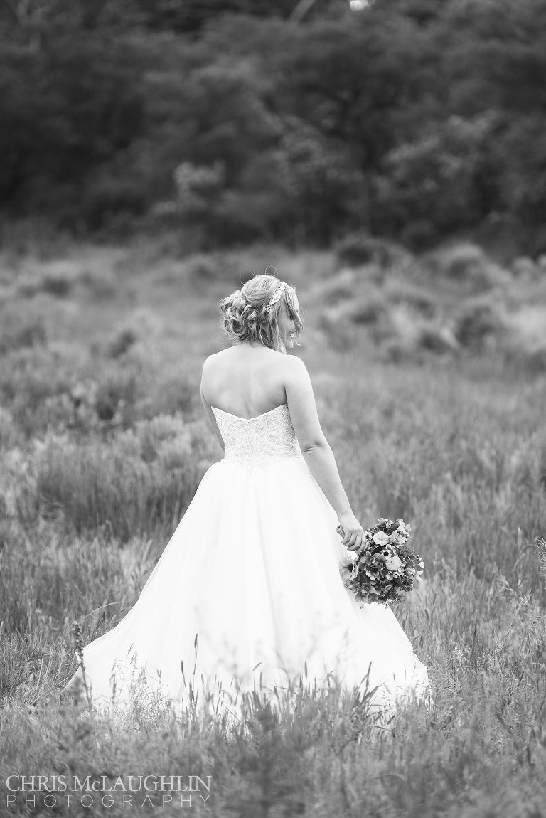 bristlecone ridge ranch wedding picture