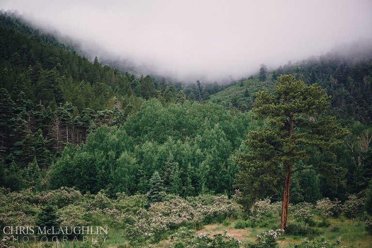 bristlecone ridge ranch wedding picture