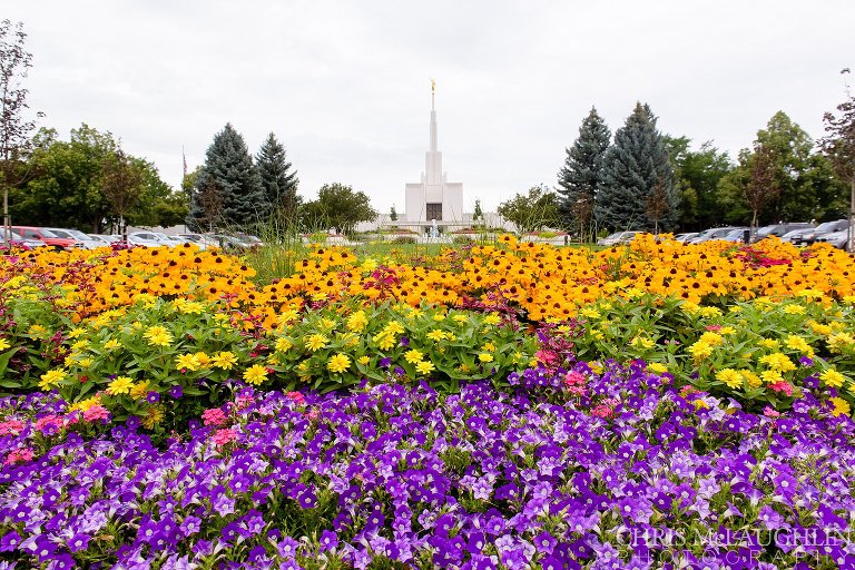 Denver Temple Wedding Picture