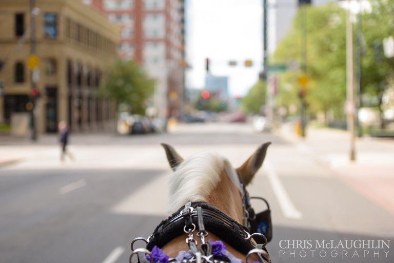 blanc denver wedding picture