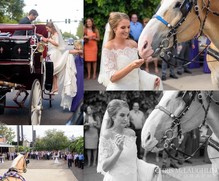 blanc denver wedding picture