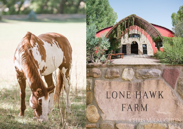 Lone Hawk Farm Wedding Photo